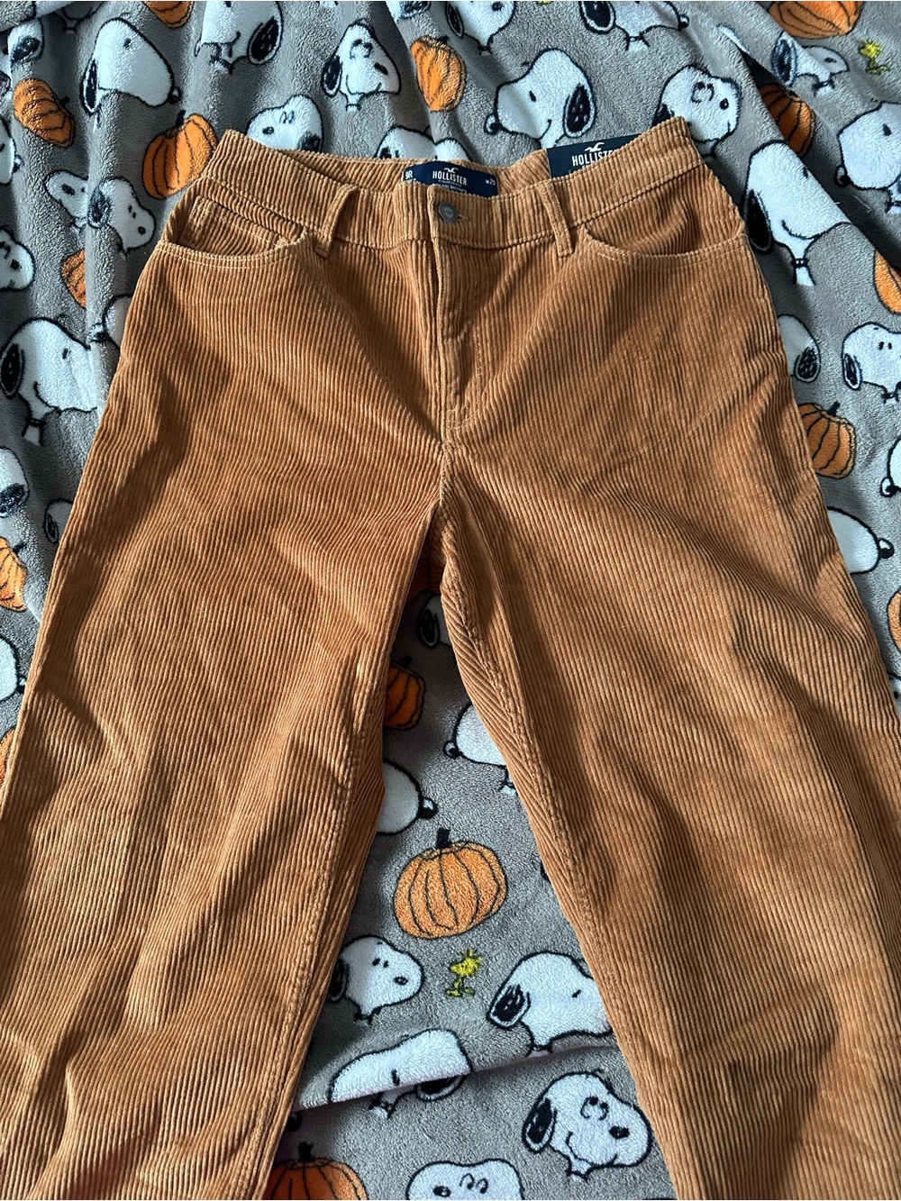 Women Hollister Corduroy High Rise Dad Pants Rust Color 9R